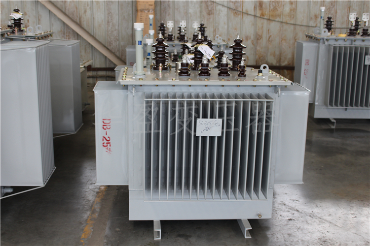河北S20-800kVA/10kV/0.4kV变压器